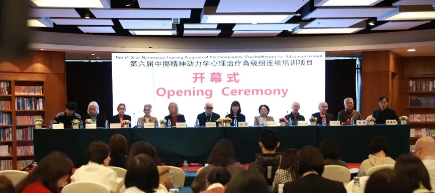 中挪精神动力学心理治疗高级组连续培训项目第六届第4期集训开幕啦