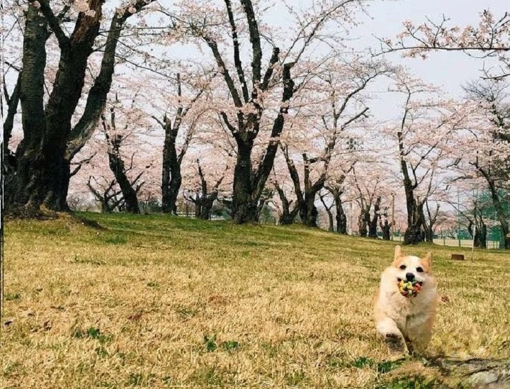 说情绪不好 孩子就没那么抑郁了